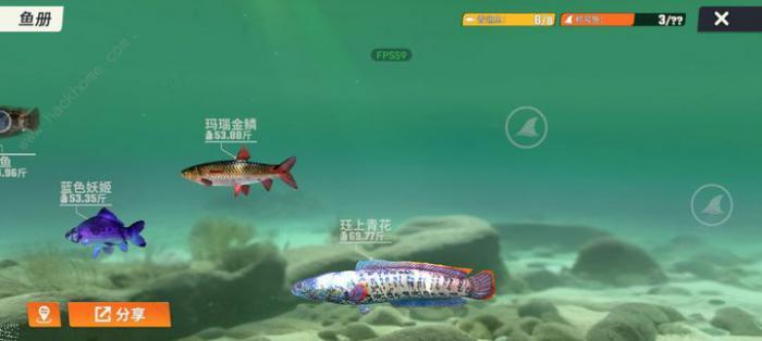 欢乐钓鱼大师新手教学攻略2