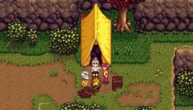 星露谷物语1.6金色鹦鹉在哪1