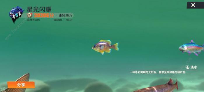 欢乐钓鱼大师称号鱼怎么钓4