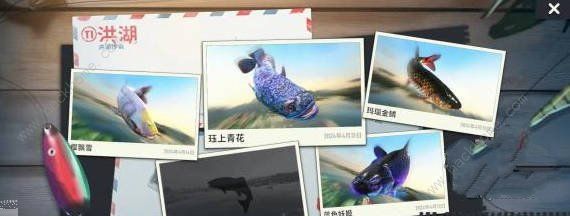 欢乐钓鱼大师稀有鱼怎么钓1