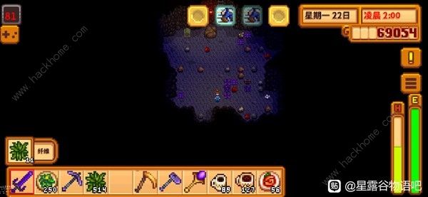 星露谷物语活的帽子怎么刷13