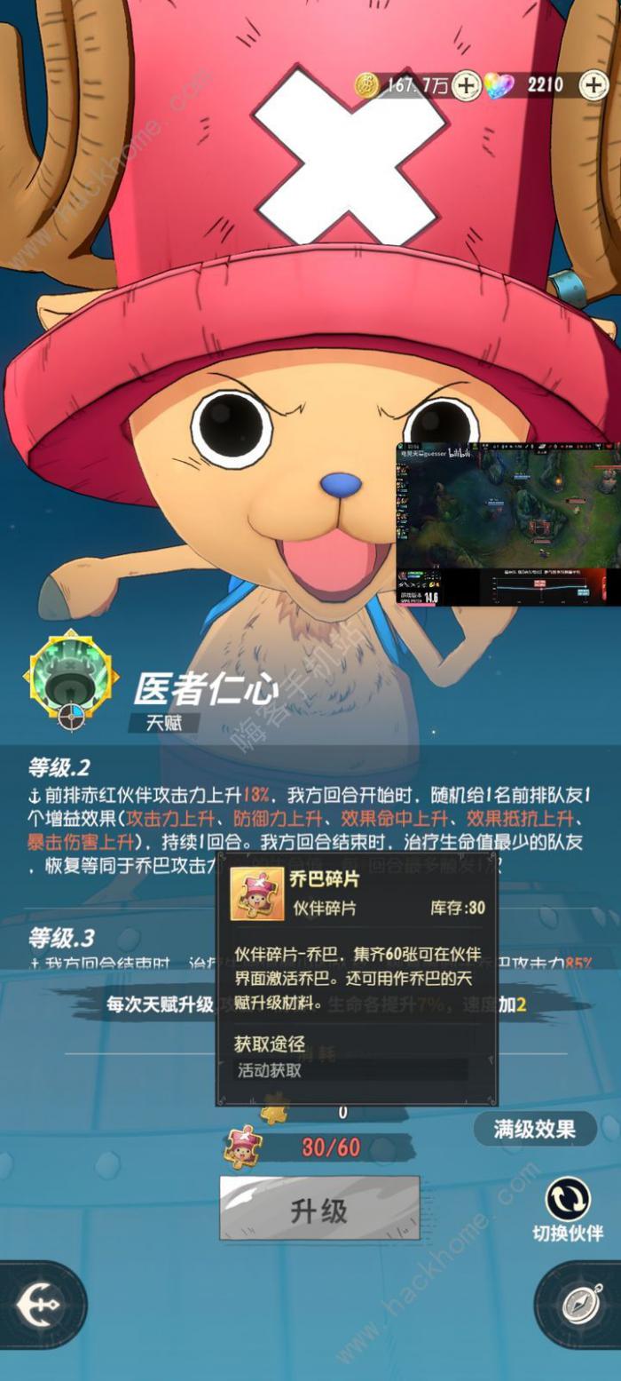 航海王梦想指针蓝金卡哪些值得培养3