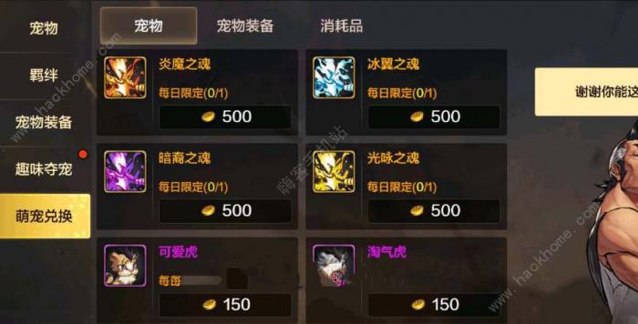 dnf手游导师套宠物好不好2