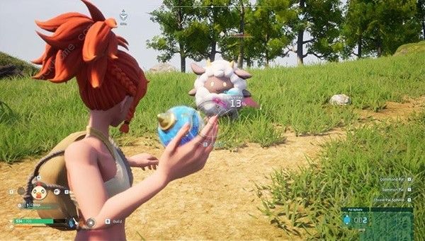 幻兽帕鲁帕鲁是什么1