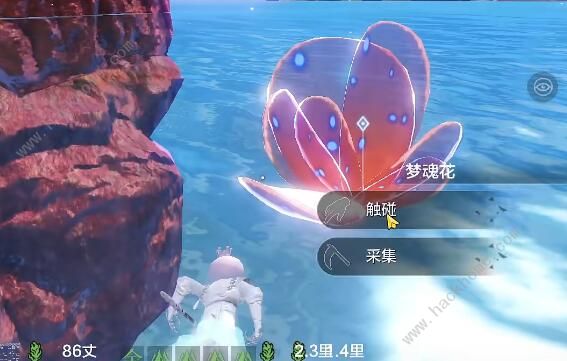 妄想山海南海经任务怎么做4