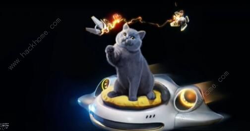 星球重启宙斯猫怎么得1