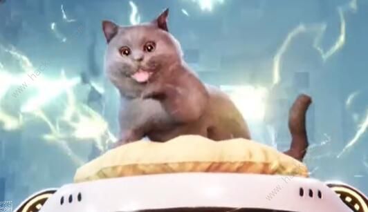 星球重启宙斯猫怎么得3