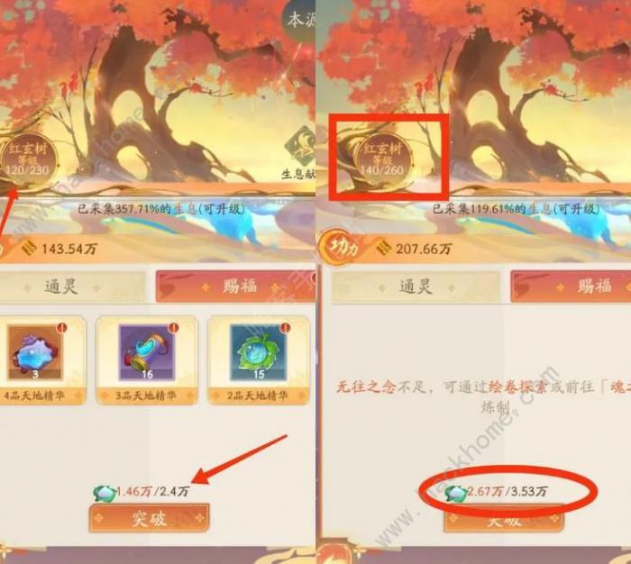 我自为道仙玉使用攻略3