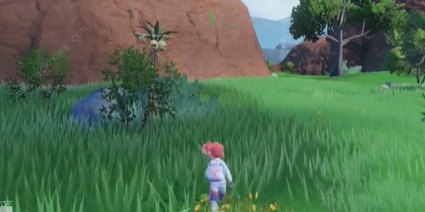 宝可梦朱紫蓝之圆盘美洛耶塔怎么得10