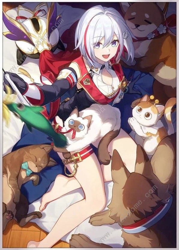 崩坏星穹铁道真理医生双追击攻略3