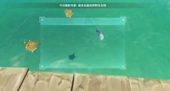 原神基本呈蓝色的野生生物在哪13