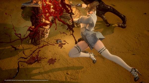 剑星拍照模式怎么拍全身13