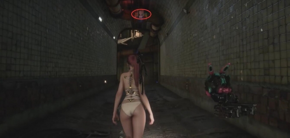 剑星猫咪摄影展全位置攻略8