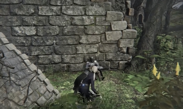 艾尔登法环黑夜君临支线全攻略53