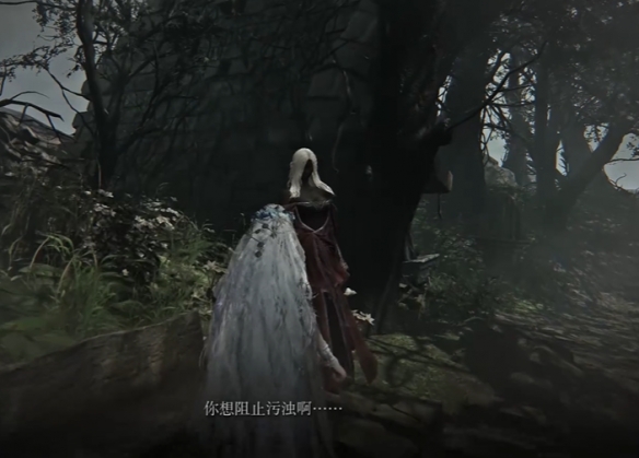 艾尔登法环黑夜君临支线全攻略76