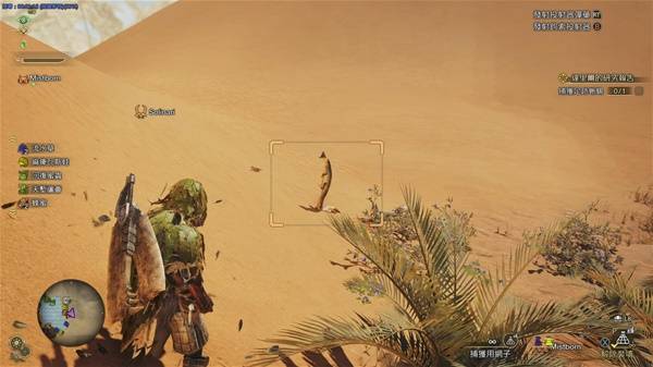 怪物猎人荒野足迹蜥蜴在什么位置3