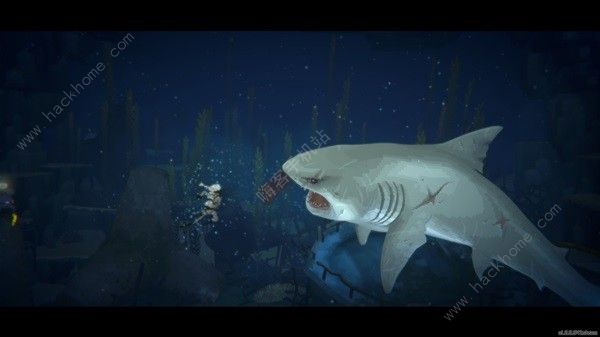 潜水员戴夫攻略大全9