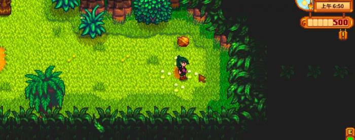 星露谷物语金核桃怎么收集3