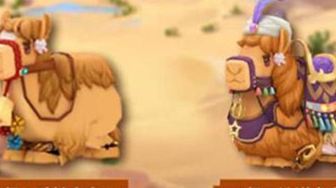 迷你世界怎么驯服骆驼2