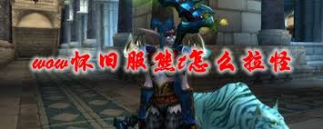 魔兽世界怀旧服熊T怎么拉怪1
