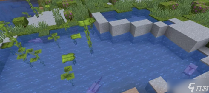 怎么快速清除我的世界中的水