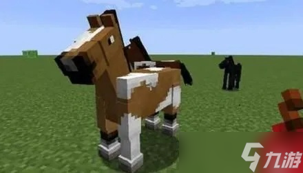 我的世界怎么养马_我的世界养马需要注意什么