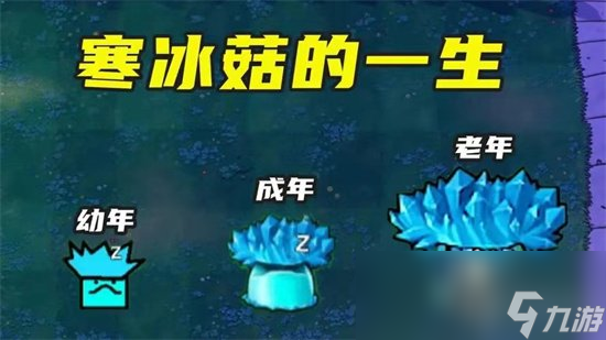 《植物大战僵尸》冰蘑菇有什么用2