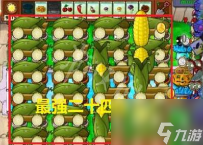 植物大战僵尸无尽模式最强阵容搭配推荐2