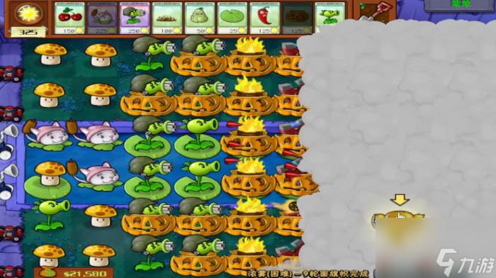 植物大战僵尸攻略图解12