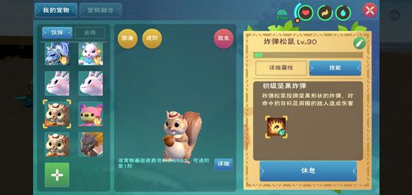 创造与魔法松鼠宠物技能是什么3