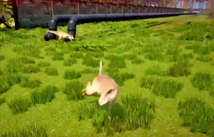 恐龙岛怎么加速行走2