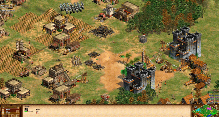 帝国时代2征服者开局打法怎么玩1