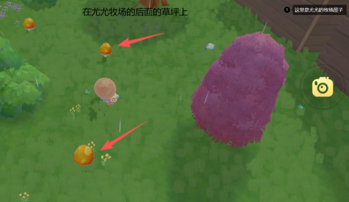 摩尔庄园怎么采蘑菇快1