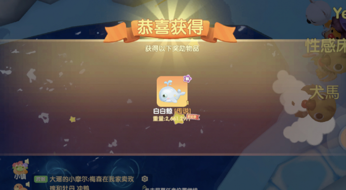 摩尔庄园白白鲸怎么使用1