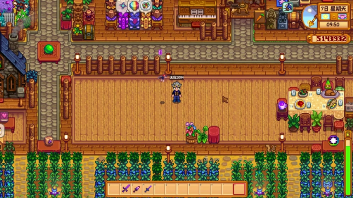 星露谷物语马龙在哪1