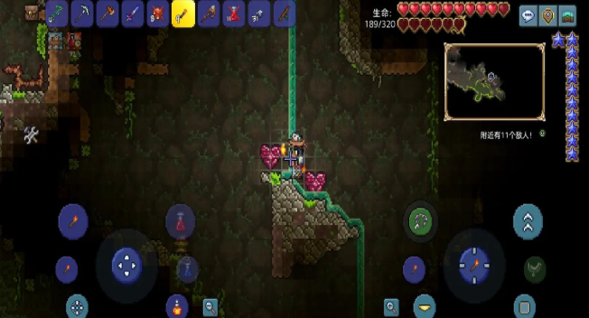 泰拉瑞亚心之水晶是什么2