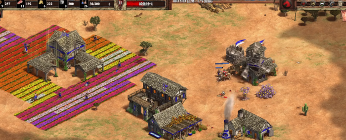 帝国时代2匈奴什么厉害3