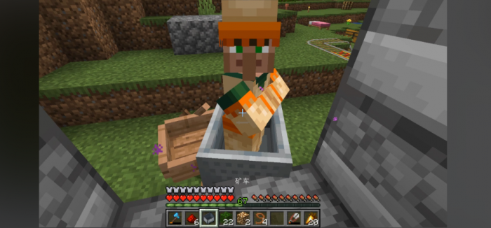 我的世界村民吃什么才能繁殖2