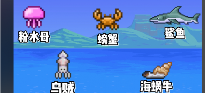 泰拉瑞亚海边有什么用3