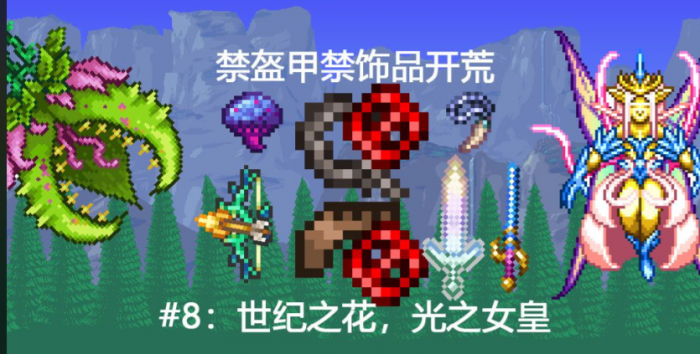 泰拉瑞亚禁装是什么1