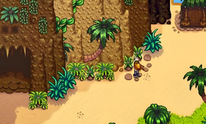 星露谷物语姜岛水晶洞在哪1