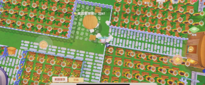 摩尔庄园向日葵地怎么开3