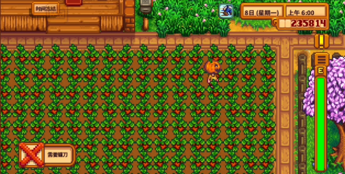 星露谷物语耕地等级如何快速提升1