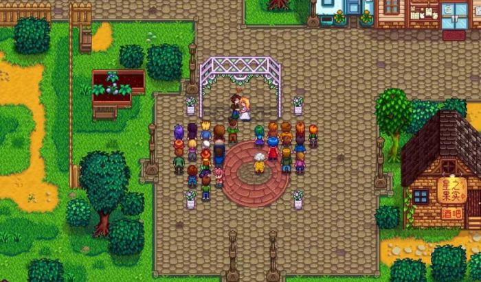 星露谷物语海莉一天都干什么呢3