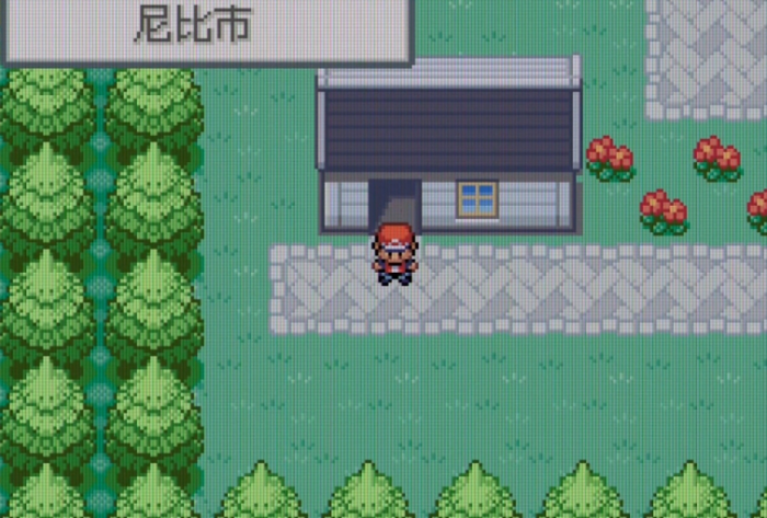 口袋妖怪火红尼比市道馆怎么打1