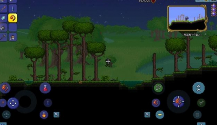 泰拉瑞亚发型师怎么找3