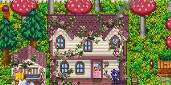 星露谷物语失物招领箱在哪里1