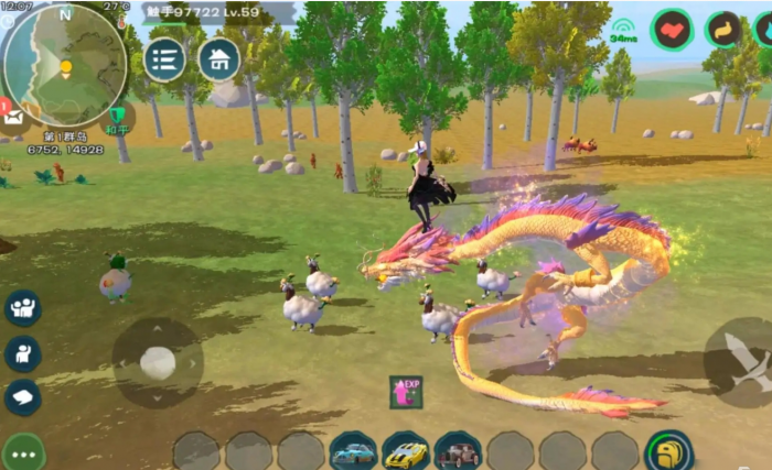 创造与魔法飞龙有哪些1