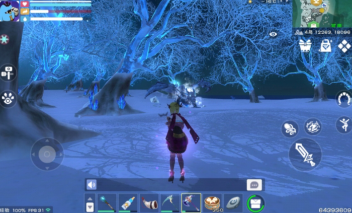 创造与魔法飞龙有哪些3