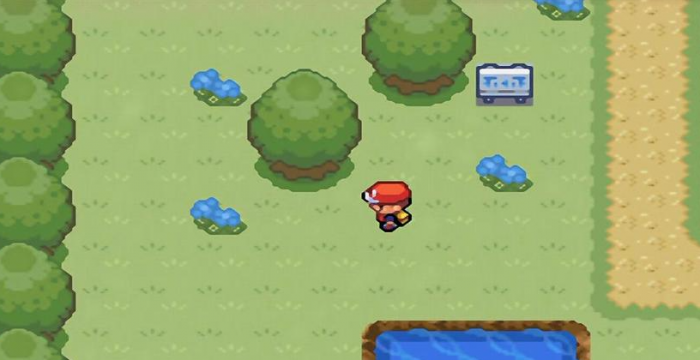 口袋妖怪火红闪光术在哪里拿3